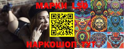 apvp Можга
