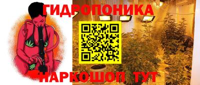apvp Можга