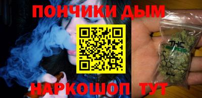 apvp Можга