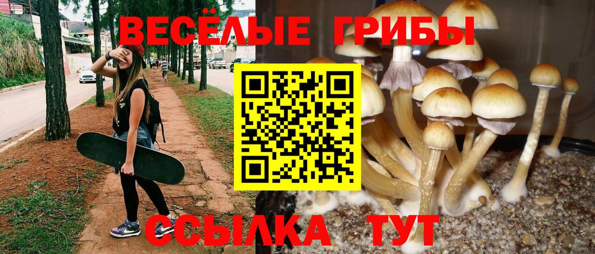 Ялта  Галлюциногенные грибы мицелий  наркошоп  Вход с VPN 